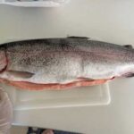 Найпростіший спосіб засолити червону рибу. Корисні поради