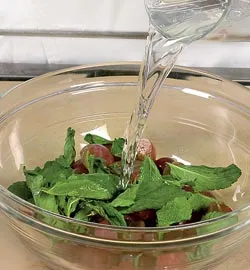 Зимово-літній коктейль: ніжний смак, що зігріває та освіжає 3