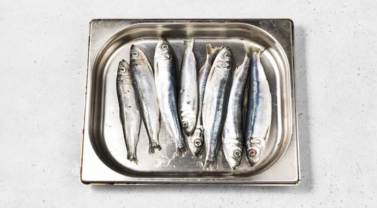 Смажена салака: Простий рецепт з фотографіями для ситної вечері 36