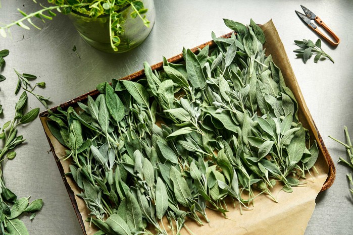 15 продуктів для покращення роботи мозку, пам'яті та концентрації 13