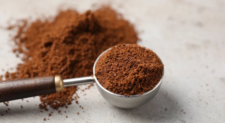 Відкриття року: як кава покращує смак рослинного м'яса 10