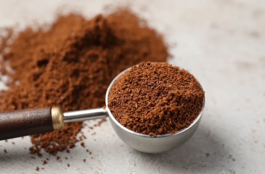 Відкриття року: як кава покращує смак рослинного м’яса