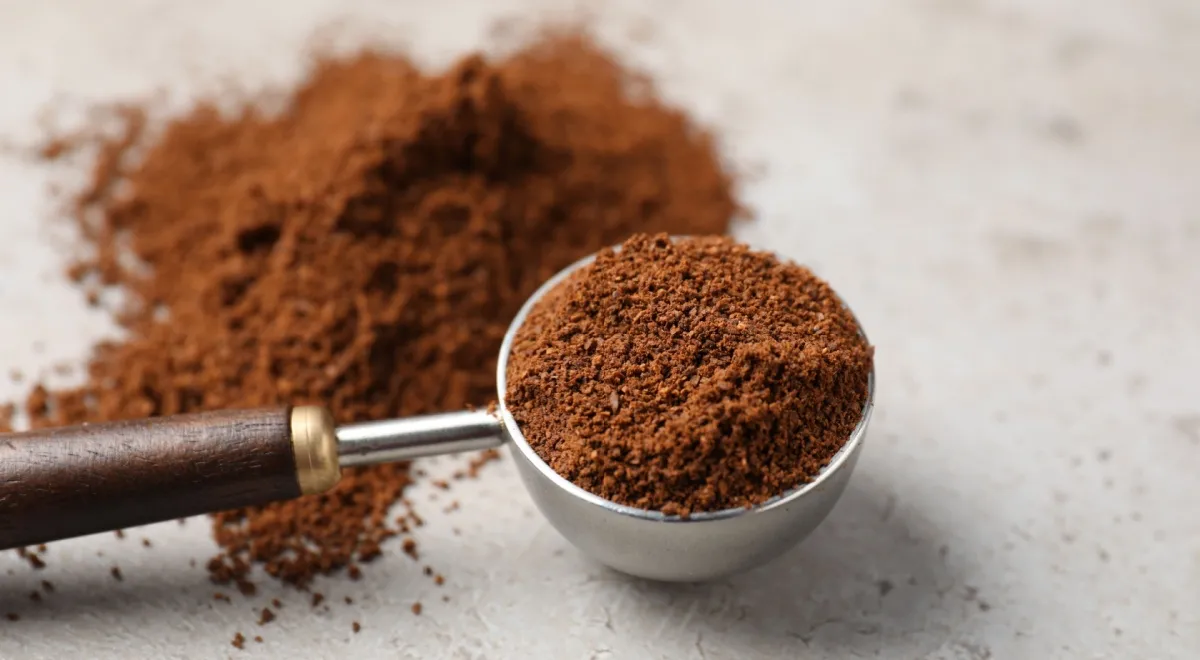 Відкриття року: як кава покращує смак рослинного м'яса 1