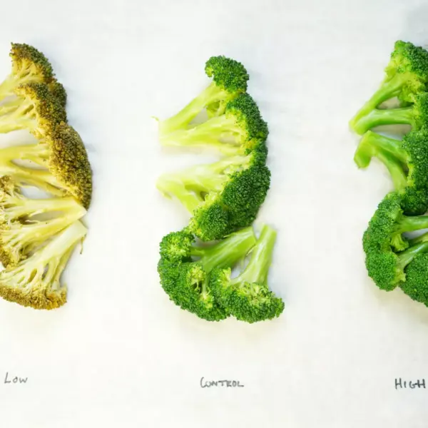 Як правильно зберігати овочі, щоб вони залишалися хрусткими: кулінарні секрети