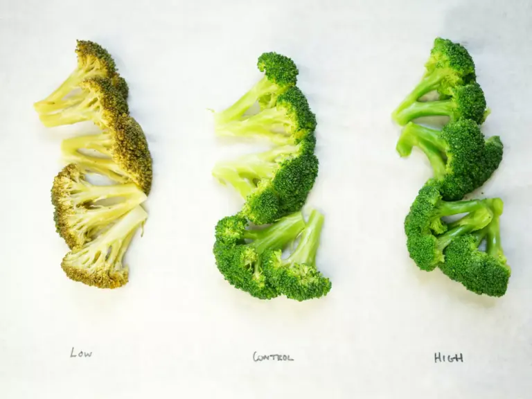 Як правильно зберігати овочі, щоб вони залишалися хрусткими: кулінарні секрети 46