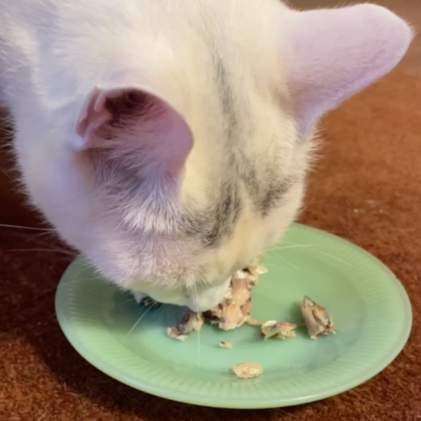 Найкращі сардини: детальний огляд та рекомендації 9