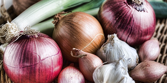 Чому варто їсти бобові: джерело клітковини та білка 5