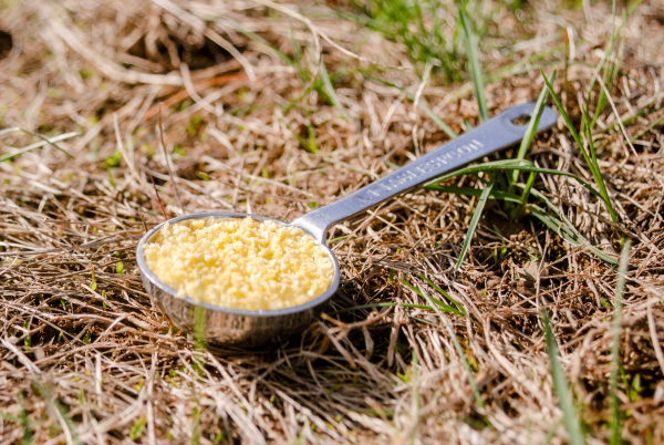 Найкращі засоби від мурах: огляд та рекомендації 7