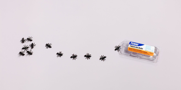 Найкращі засоби від мурах: огляд та рекомендації 11