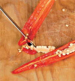 Легкий весняний салат зі свіжими огірками: покроковий рецепт із фото та низькою калорійністю 9