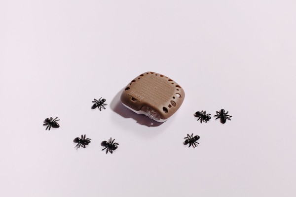 Найкращі засоби від мурах: огляд та рекомендації 5