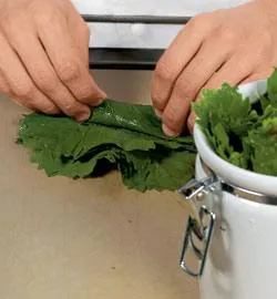 Соковиті виноградні листки в ароматному розсолі: детальний фоторецепт 12