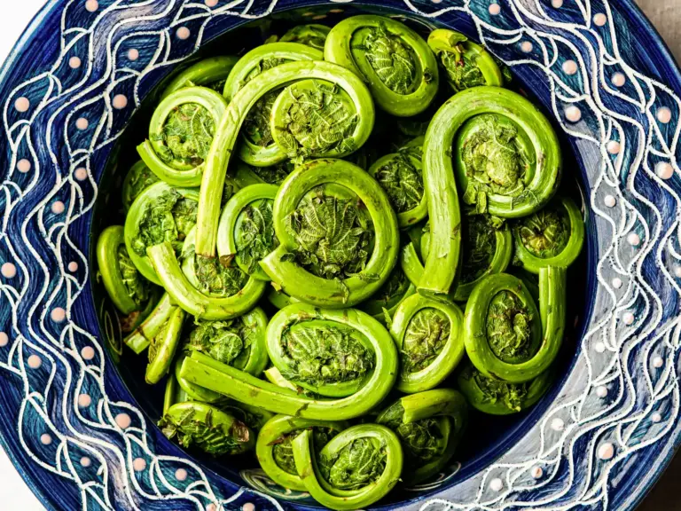 Як безпечно та смачно приготувати дику весняну рослину: поради від шеф-кухарів 4