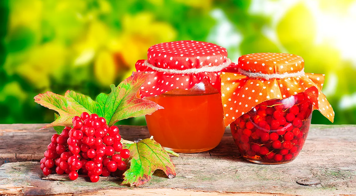 6 осінніх ягід 2026 року для міцних судин: відкриття року від Gastronom.ru 5 6 осінніх ягід 2026 року для міцних судин: відкриття року від Gastronom.ru 5