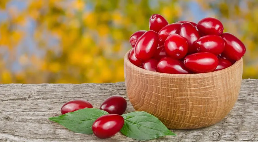 6 осінніх ягід 2026 року для міцних судин: відкриття року від Gastronom.ru 3 6 осінніх ягід 2026 року для міцних судин: відкриття року від Gastronom.ru 3