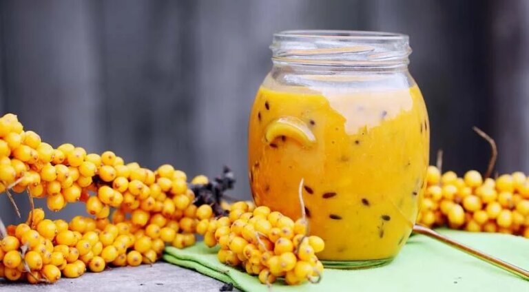 6 осінніх ягід 2026 року для міцних судин: відкриття року від Gastronom.ru 24 6 осінніх ягід 2026 року для міцних судин: відкриття року від Gastronom.ru 24