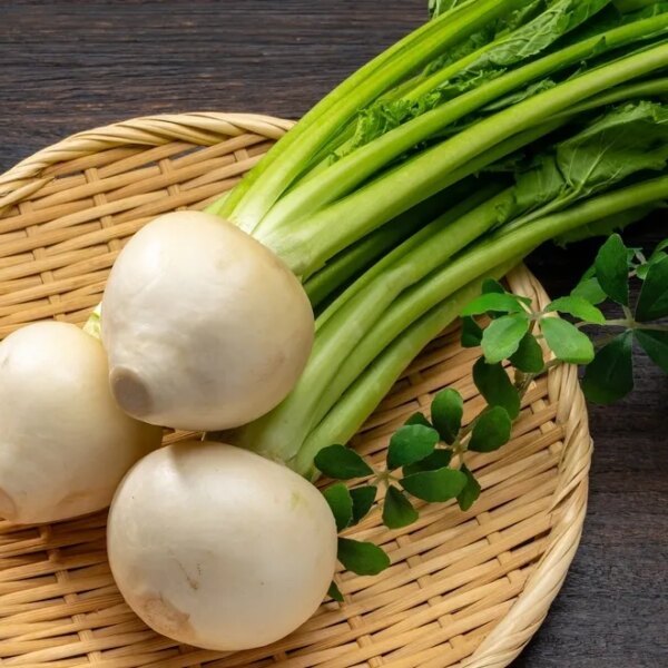 Надзвичайна користь бадилля пареної ріпи: розкриваємо секрети на Gastronom.ru