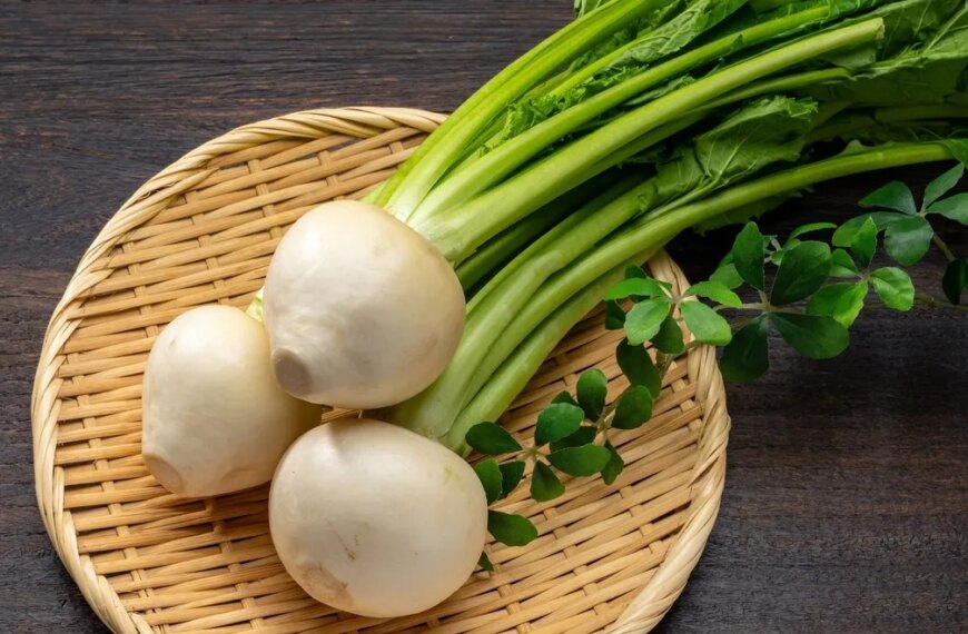Надзвичайна користь бадилля пареної ріпи: розкриваємо секрети на Gastronom.ru