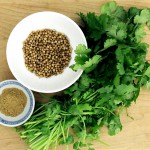 Огляд цибулі-порею: користь, застосування та рецепти 3