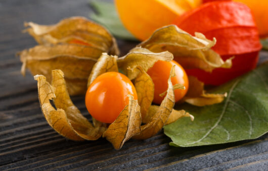 Огляд зеленої олії: секрет професійних шефів за 15 хвилин 21