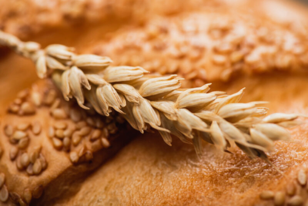 Продукти, що містять глютен: дбаємо про здоров'я правильно 3