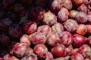 Продукти для малюків: коли і як вводити десерти у раціон дитини 12